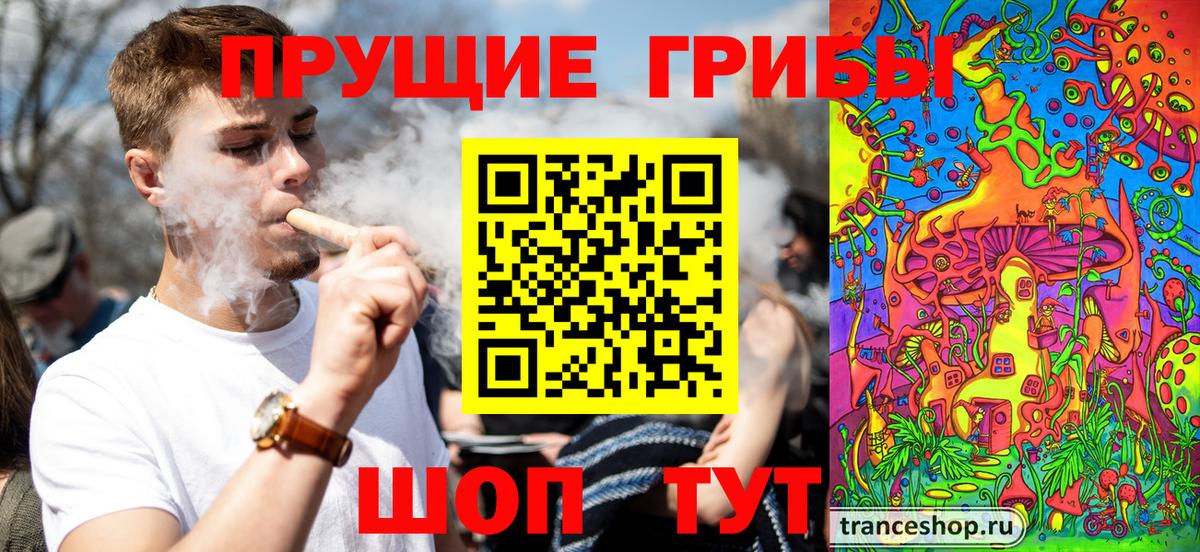 Галлюциногенные грибы прущие грибы Лесосибирск